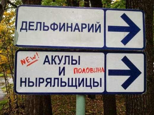 [245736bc5911c7069043f467816_prev%255B2%255D.jpg]