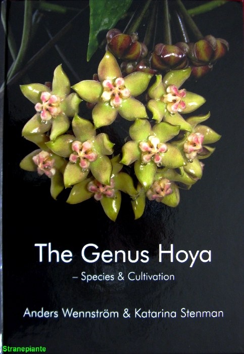 [the-genus-hoya---species--cultivatio%255B1%255D.jpg]