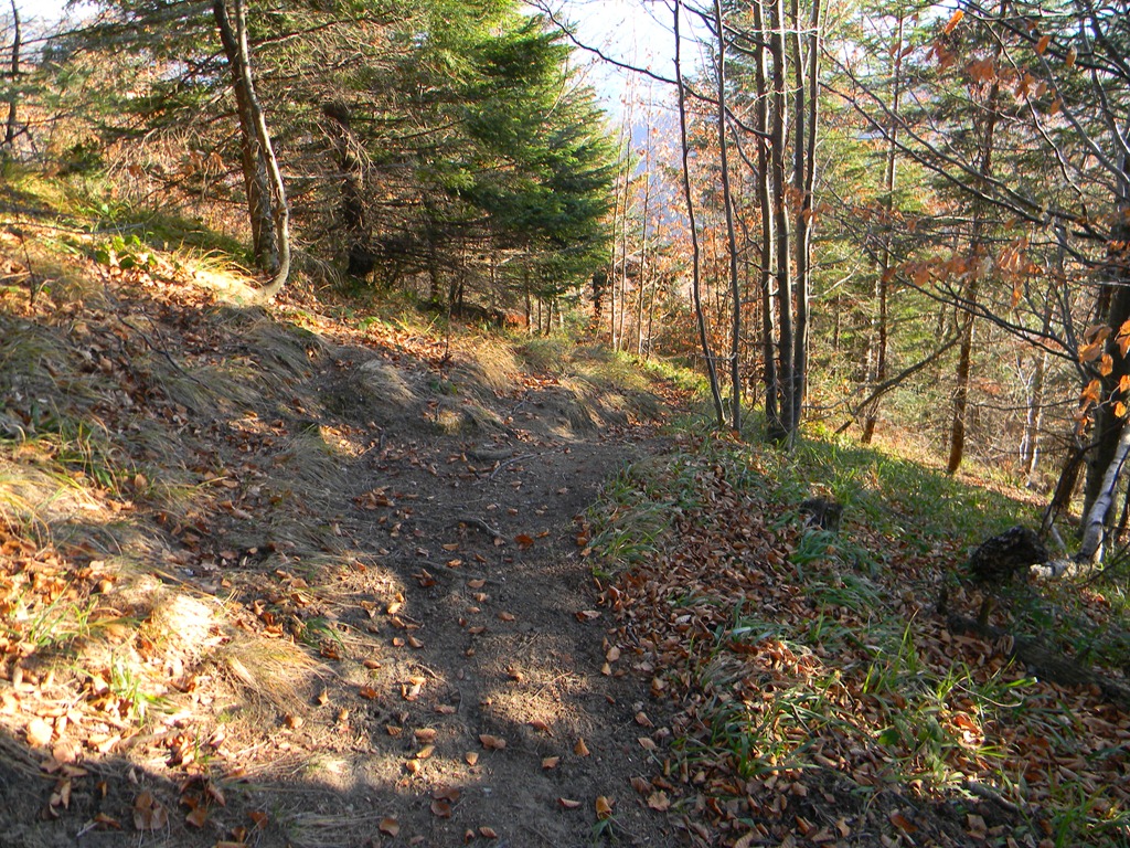 [DSCN11213.jpg]
