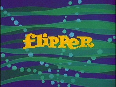 [flipper12.jpg]