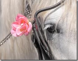 animales con flores JPG (4)