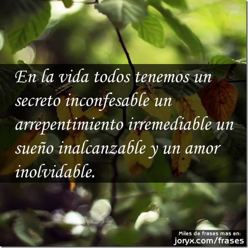 frases con imágenes sobre la vida y el amor