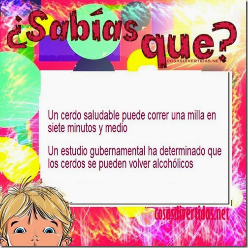 2 curiosidades cosasdivertidas net 6 1 2 curiosidades cosasdivertidas net 6 1
