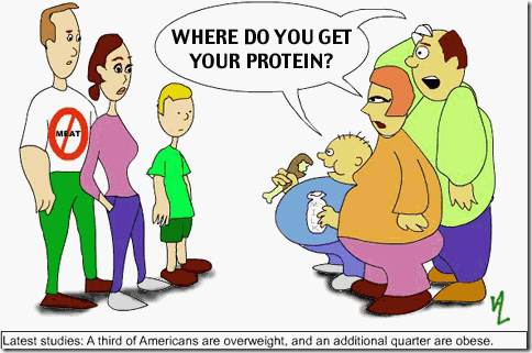 where do you get your protein?