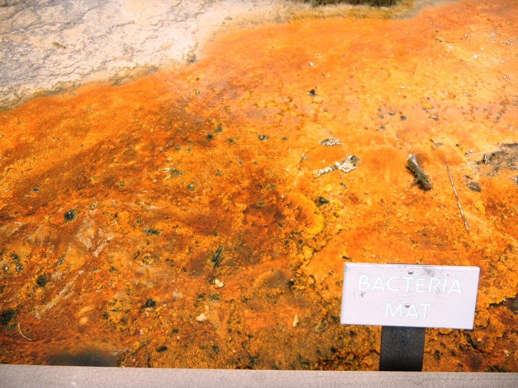 [DSCN5968%2520-%2520Kopie%255B4%255D.jpg]