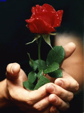 3a63b116f63843adb126af314be1eed4.gif