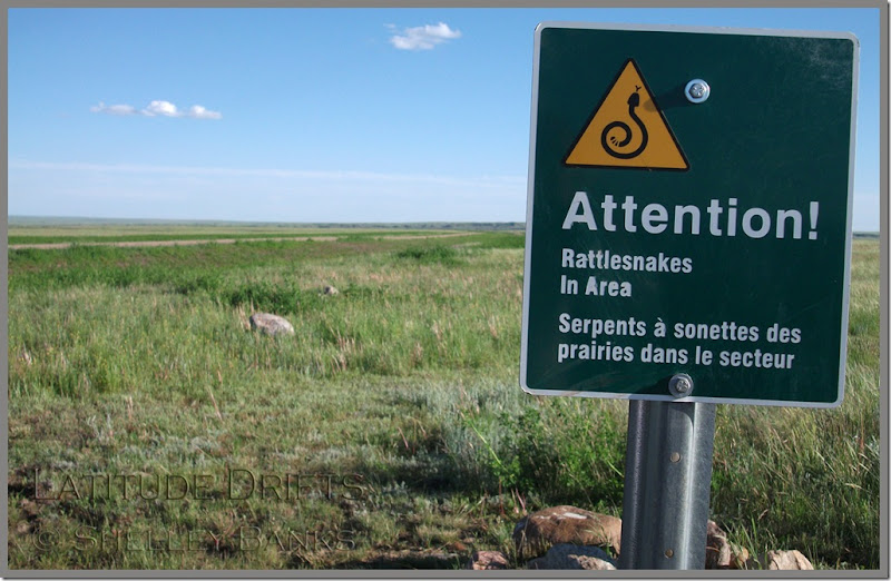 rattlesnake sign, Grasslands National Park - photo by Shelley Banks