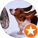 Marco Previg profile picture