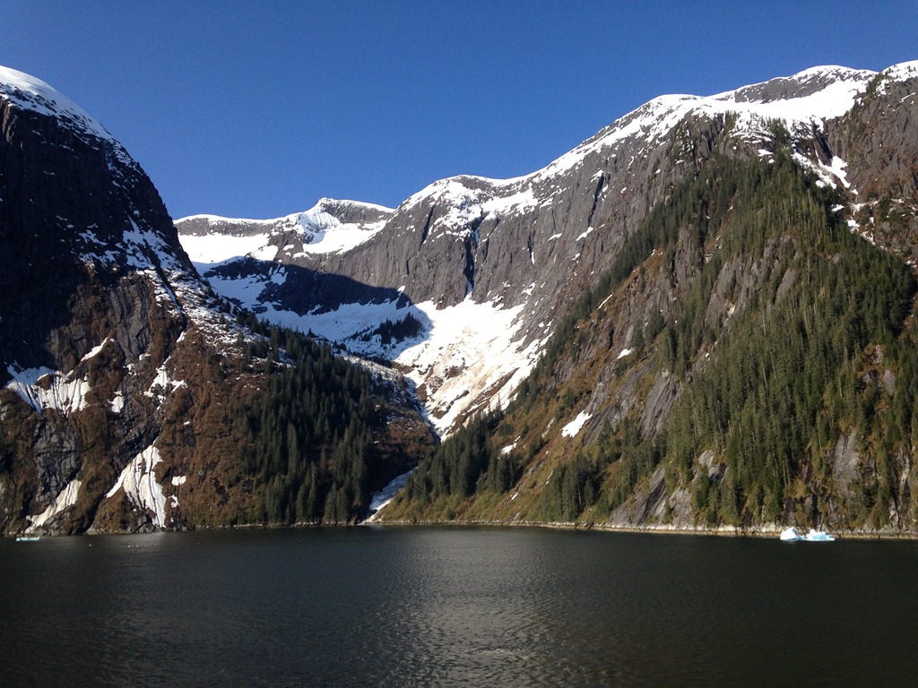 [69---glacier-in-Tracy-Arm3.jpg]