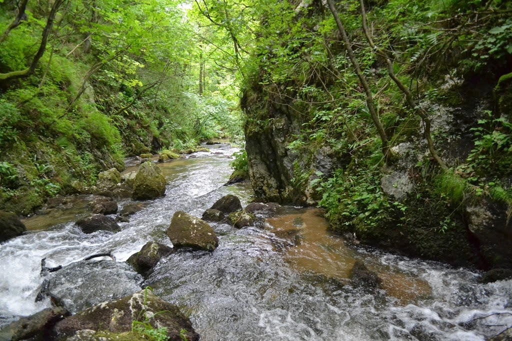 [DSC_4260%255B3%255D.jpg]