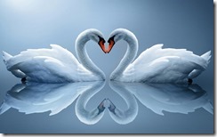 Swan-Love-Heart Swan-Love-Heart