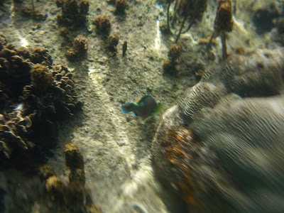 P1050339.JPG