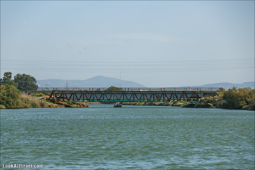 LookAtIsrael.com - Восстановление реки Кишон | Recovering Kishon river | שיחזור נחל קישון