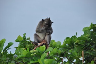 Et une paire de lunette, une ! DSC_0178.jpg