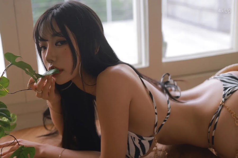 Dongeuran (동그란) ZEBRA