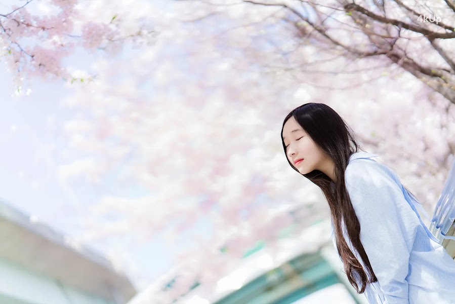 Bambi (밤비) Lacerta Photography