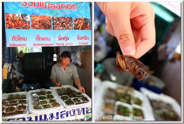 things-to-do-in-chiang-mai-go-to-doi-suthep-temple-eat-insect