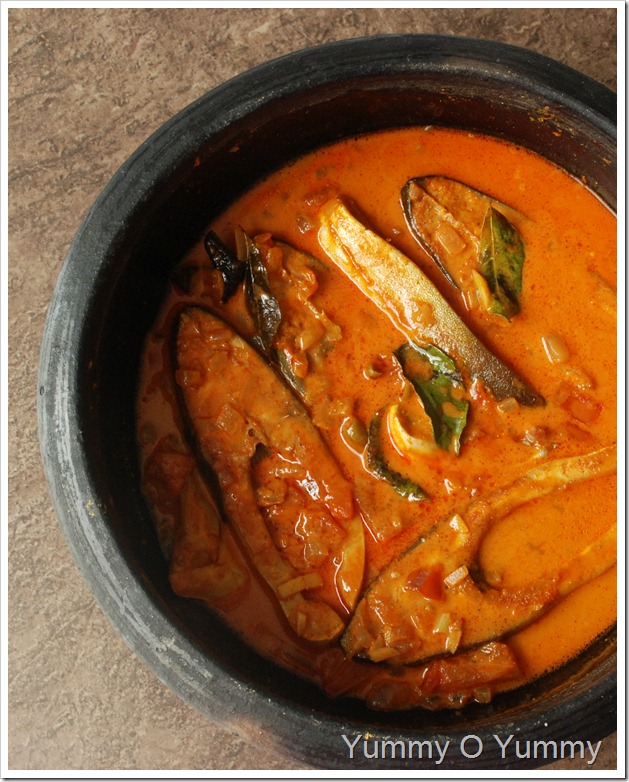 Fish and tomato curry