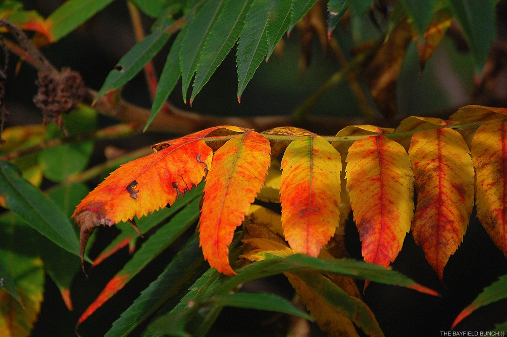 [DSC_3708%255B4%255D.jpg]