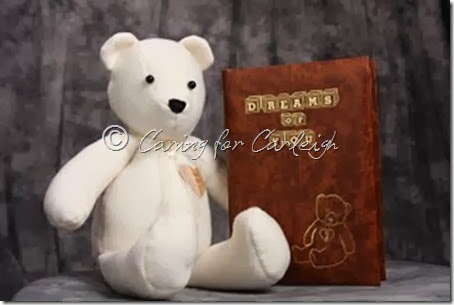 comfort bear and book