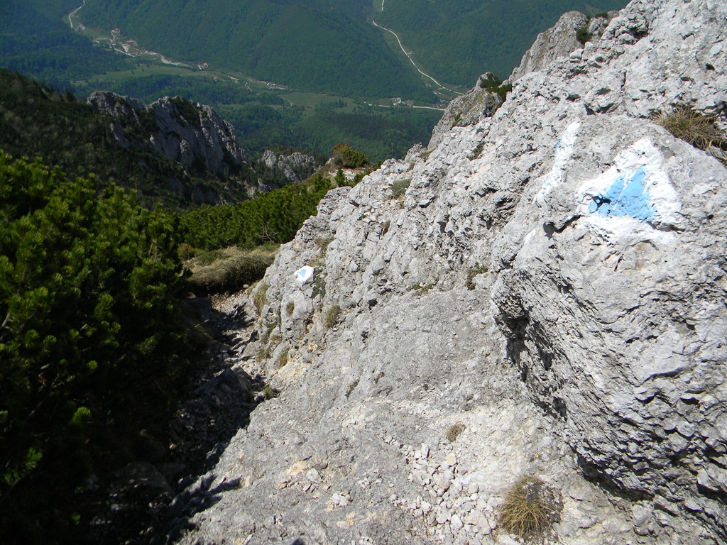 [DSCN5837%255B3%255D.jpg]