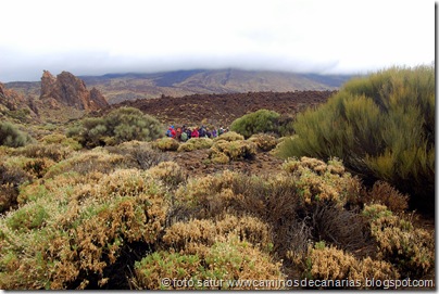 038 Cañadas del Teide 038 Cañadas del Teide