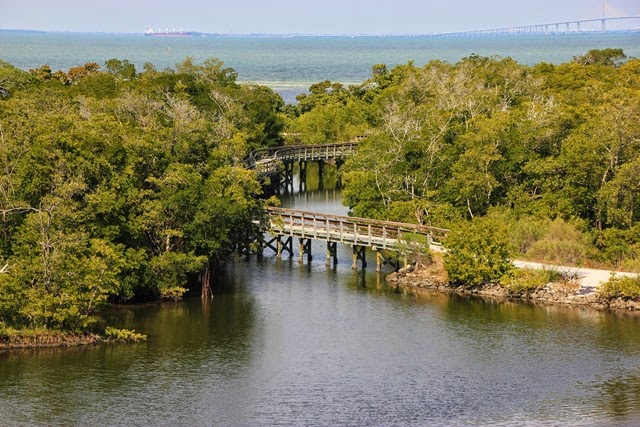 Robinson Preserve Tampa Bay View