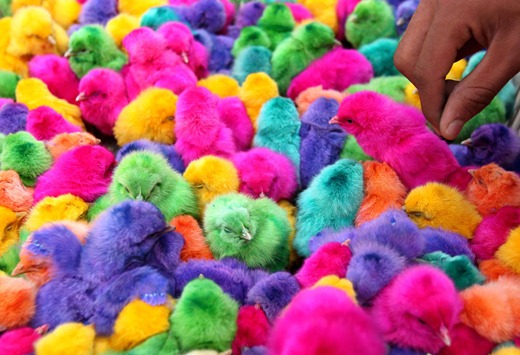 [clip_image020%255B3%255D.jpg]