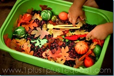 fallsensorybin