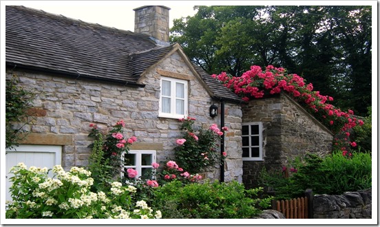 Cottage with Roses in the Village of Thorpe on the Tissington Trail in Derbyshire_O
