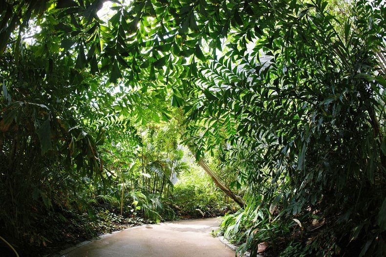 tropical-island-resort-7