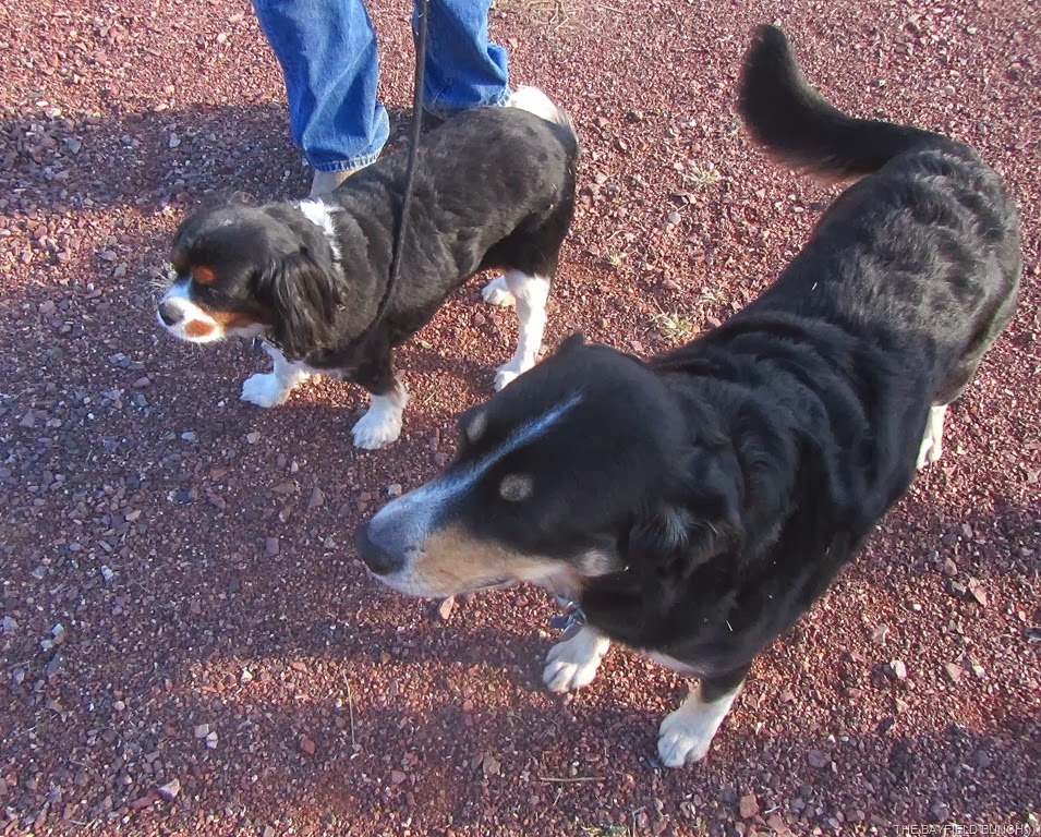 [IMG_0950%255B5%255D.jpg]