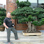 Xian. Terakotowa Armia- wielki bonsai. ;)