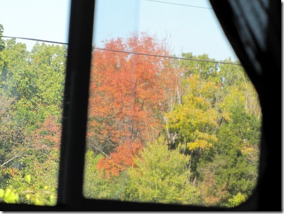 Fallcolor10-06-11a