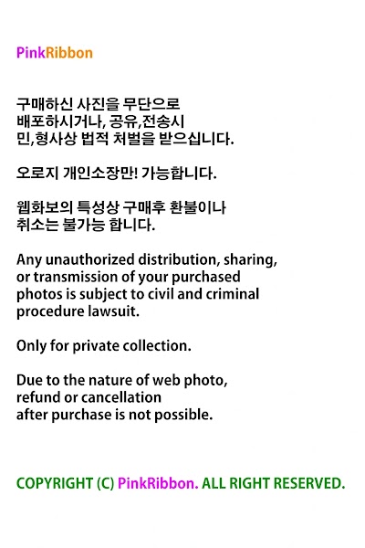 [PINK] Berry (빛베리) Vol.2 BERRY PRADISE