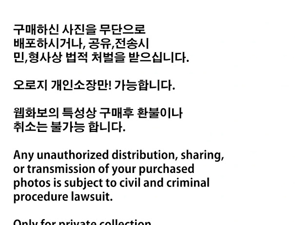 [PINK] Berry (빛베리) Vol.2 BERRY PRADISE