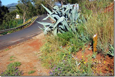 5512 Circular a Firgas-R3 5512 Circular a Firgas-R3
