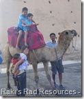 Raki's Rad Resources - Journey to Morocco - Riding a Camel