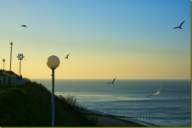 Seagulls over Cromer