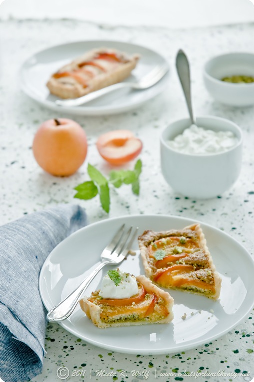 Apricot and Pistachio Frangipane Tart (0057) by Meeta K. Wolff