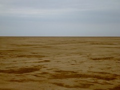 A whole lot of nothing in the Sechura Desert in Northern Peru.