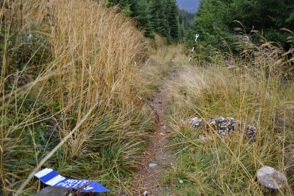 [DSC_15833.jpg]