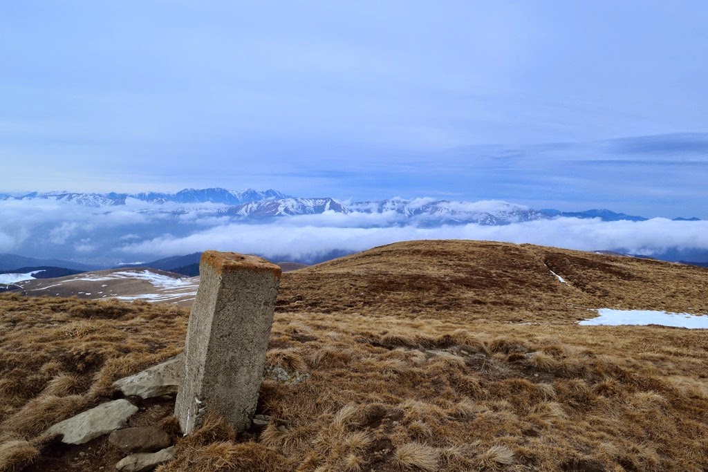 [DSC_44043.jpg]