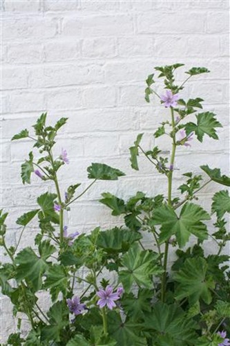 20100615 (2) (Small)