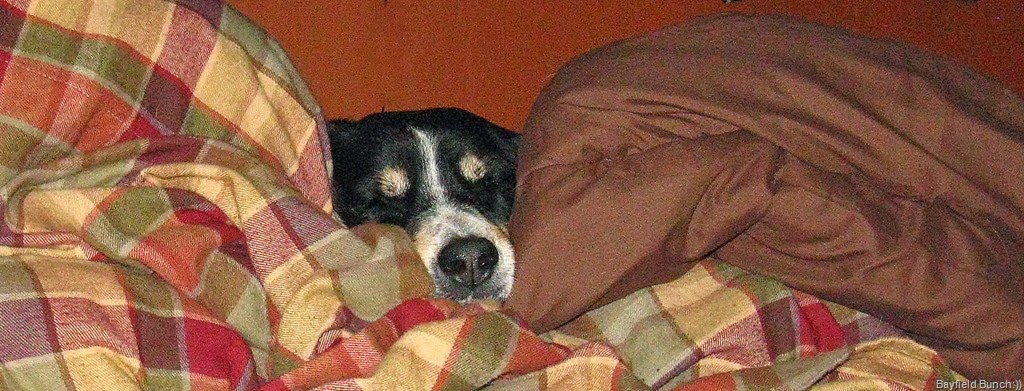 [IMG_3621%255B3%255D.jpg]