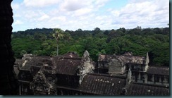 Looking out over the jungle from the top of Angkor Wat