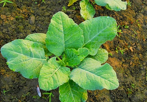 [clip_image0083.jpg]