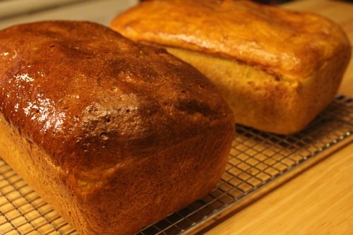 pumpkin-yeast-bread029