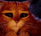 gato.png