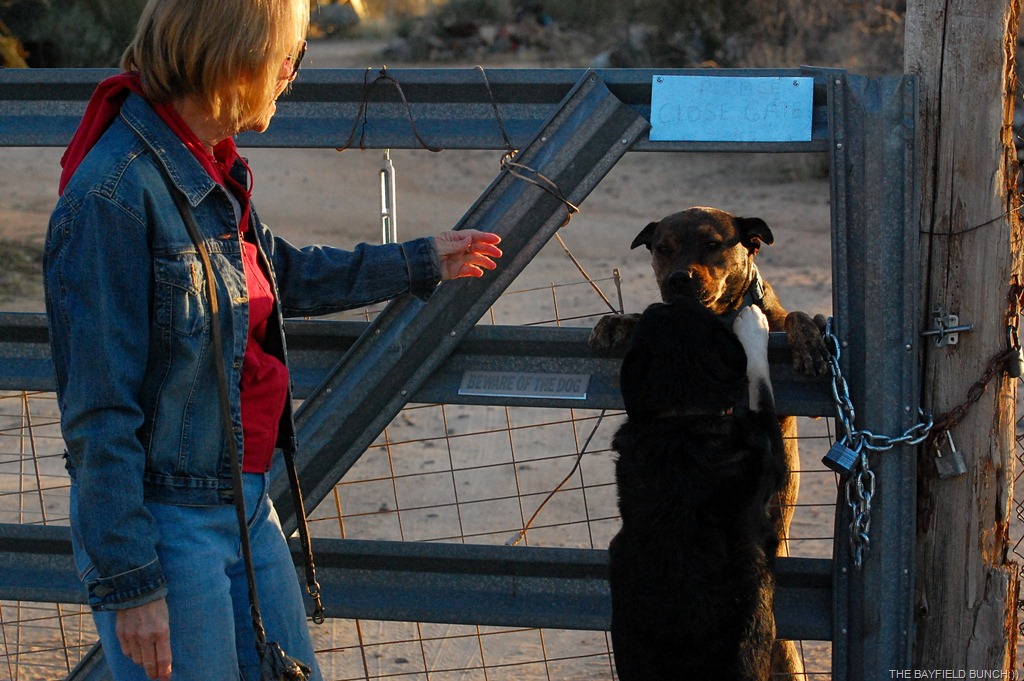 [DSC_8358%255B4%255D.jpg]